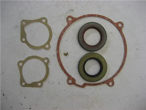 1979 Can-Am 250 Qualifier Rotax Gasket & Seal Set – Brand-New Oem Kit (33118-22, D22) 1