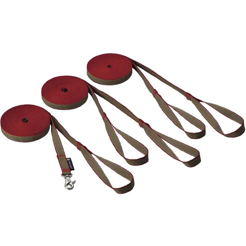 Adjustable Matching Leash And Collar Set 1