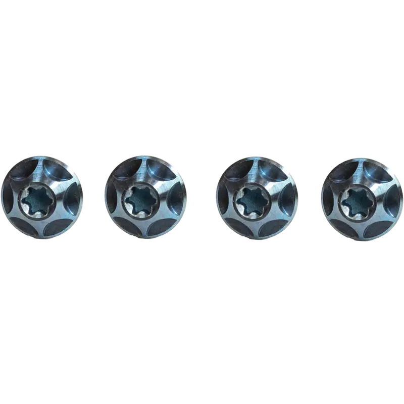Aqua-Tint Titanium Bottle Cage Bolts Pack 1