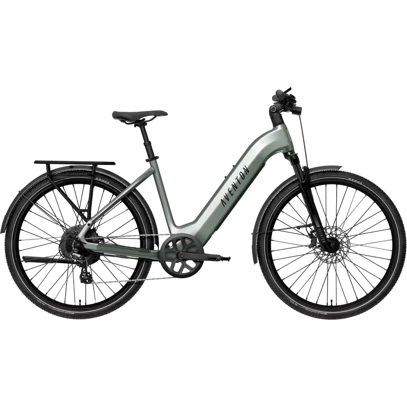 Level 4 Rec Electric Bike – Step-Through Frame 1