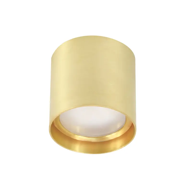 Spj-Cm3 Minimalist Ceiling-Mount Spotlight – New Release 1