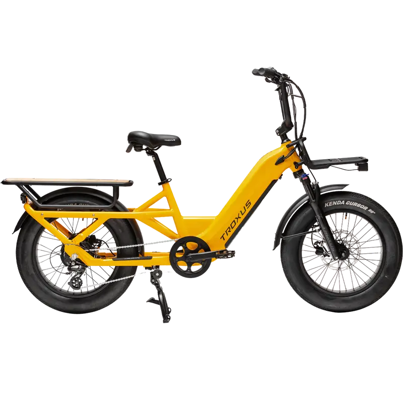 Troxus Lynx Electric Cargo Bike 1