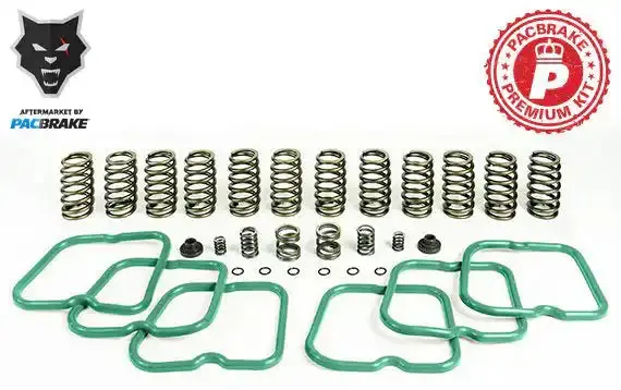Pacbrake Premium Replacement Springs – 12-Pack For 1994–1998 Dodge Ram 2500/3500 P7100 Injection Pump 1